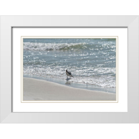 Wading I White Modern Wood Framed Art Print with Double Matting by Head, Danny
