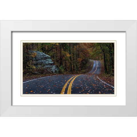 Autumn Drive III White Modern Wood Framed Art Print with Double Matting by Head, Danny