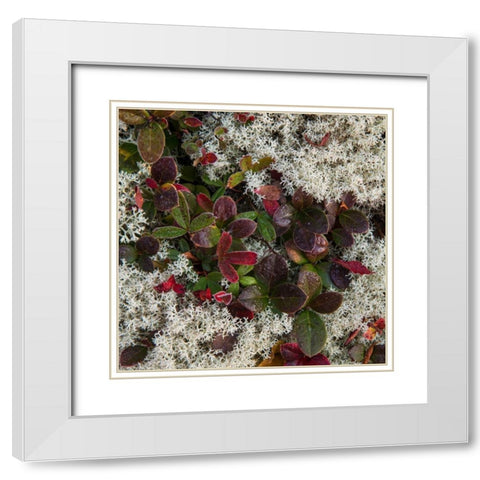 Ground Cover II White Modern Wood Framed Art Print with Double Matting by Head, Danny