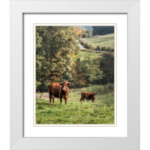 Moo White Modern Wood Framed Art Print with Double Matting by Head, Danny