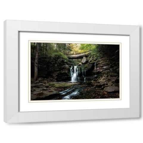 Elakala Falls II White Modern Wood Framed Art Print with Double Matting by Head, Danny