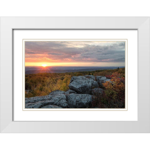 Yellow Dawn II White Modern Wood Framed Art Print with Double Matting by Head, Danny