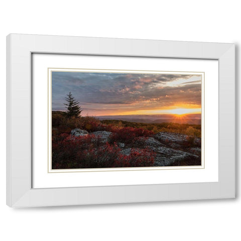 New Day I White Modern Wood Framed Art Print with Double Matting by Head, Danny