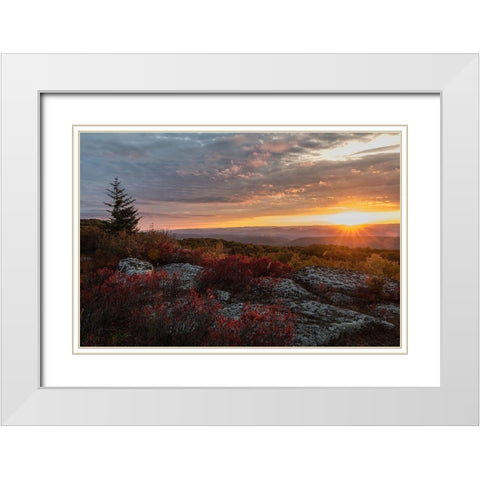 New Day I White Modern Wood Framed Art Print with Double Matting by Head, Danny