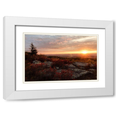 New Day II White Modern Wood Framed Art Print with Double Matting by Head, Danny