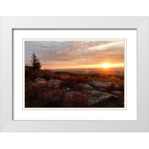 New Day II White Modern Wood Framed Art Print with Double Matting by Head, Danny