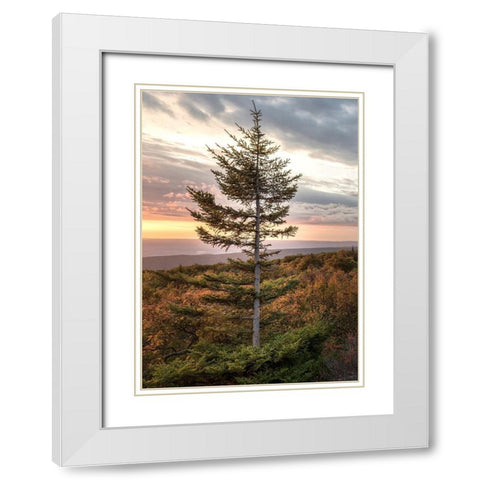 Standing Alone White Modern Wood Framed Art Print with Double Matting by Head, Danny