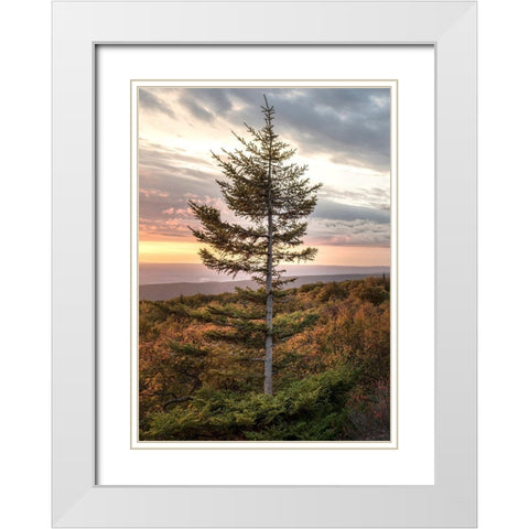 Standing Alone White Modern Wood Framed Art Print with Double Matting by Head, Danny