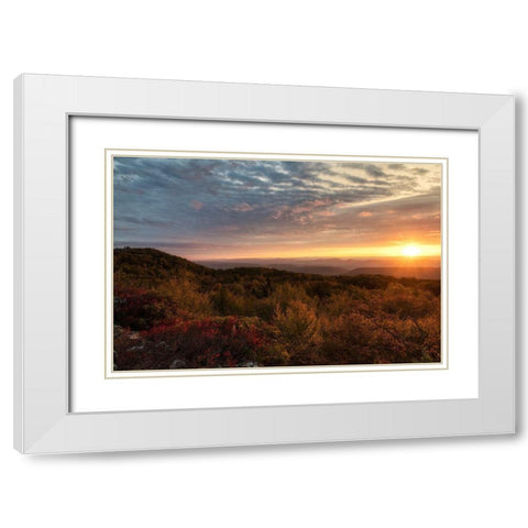 Beginnings White Modern Wood Framed Art Print with Double Matting by Head, Danny