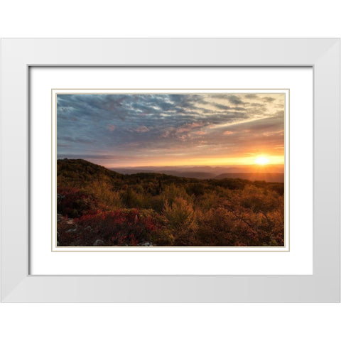 Beginnings White Modern Wood Framed Art Print with Double Matting by Head, Danny