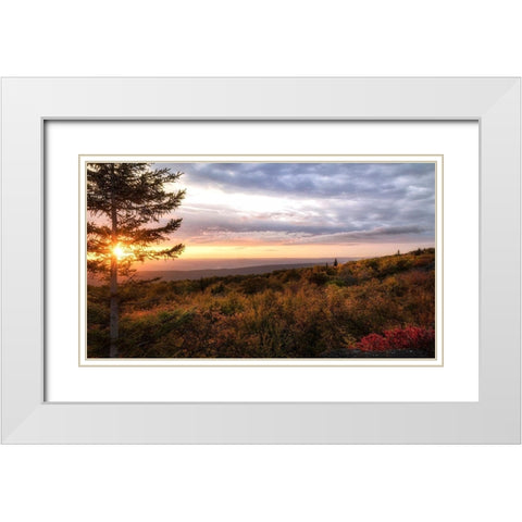 Coming Alive White Modern Wood Framed Art Print with Double Matting by Head, Danny