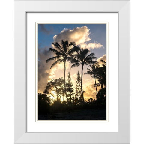 Palm Silouette I White Modern Wood Framed Art Print with Double Matting by Head, Danny
