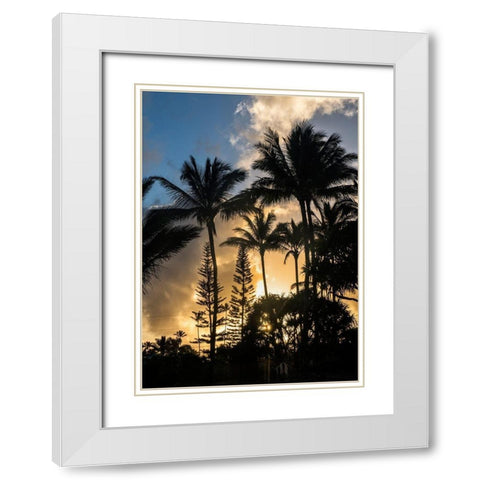 Palm Silouette II White Modern Wood Framed Art Print with Double Matting by Head, Danny