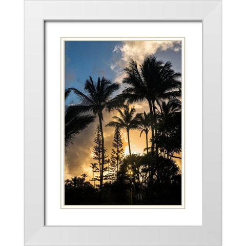 Palm Silouette II White Modern Wood Framed Art Print with Double Matting by Head, Danny