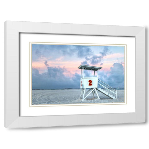 Standing Guard II White Modern Wood Framed Art Print with Double Matting by Head, Danny