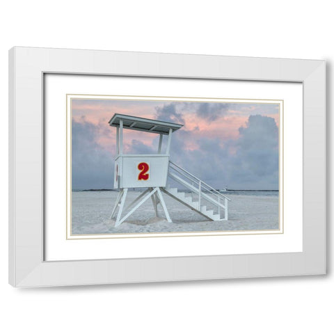 Standing Guard III White Modern Wood Framed Art Print with Double Matting by Head, Danny