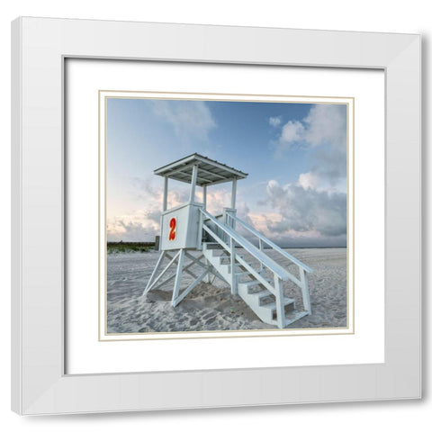 Standing Guard IV White Modern Wood Framed Art Print with Double Matting by Head, Danny