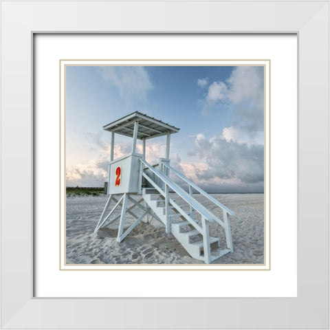 Standing Guard IV White Modern Wood Framed Art Print with Double Matting by Head, Danny