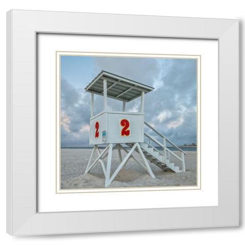Standing Guard V White Modern Wood Framed Art Print with Double Matting by Head, Danny