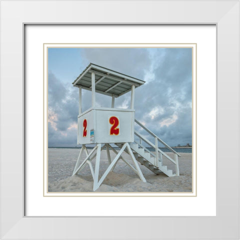Standing Guard V White Modern Wood Framed Art Print with Double Matting by Head, Danny
