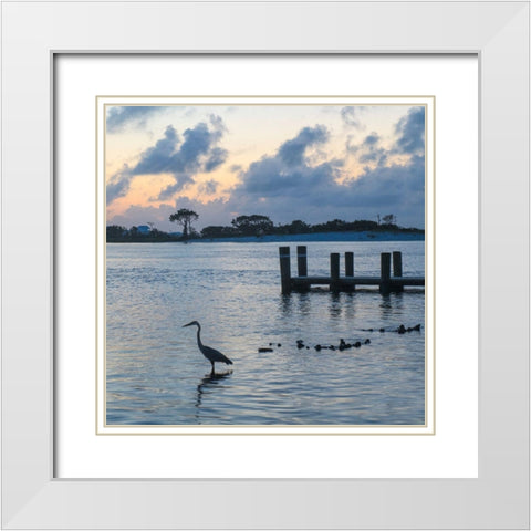 Blue Heron White Modern Wood Framed Art Print with Double Matting by Head, Danny