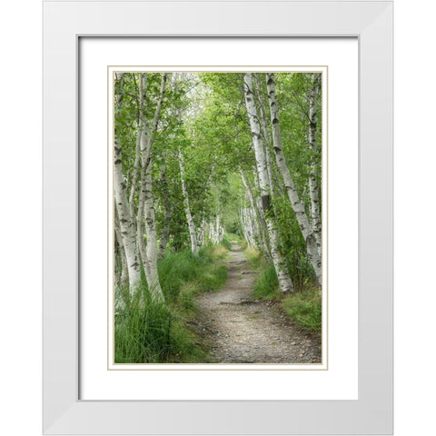 Summer Path I White Modern Wood Framed Art Print with Double Matting by Head, Danny