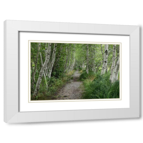 Summer Path III White Modern Wood Framed Art Print with Double Matting by Head, Danny