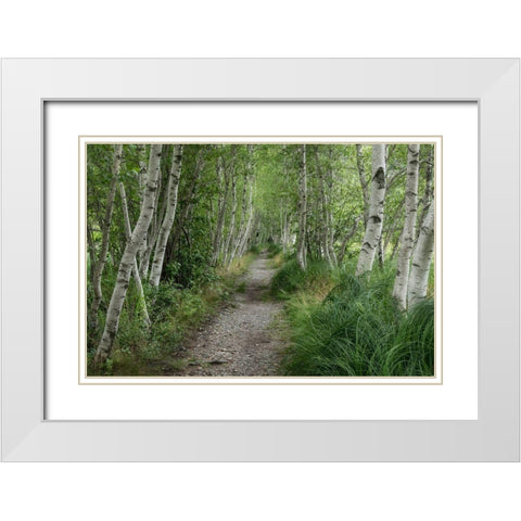 Summer Path III White Modern Wood Framed Art Print with Double Matting by Head, Danny