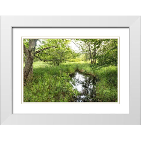 Reflecting Pool White Modern Wood Framed Art Print with Double Matting by Head, Danny