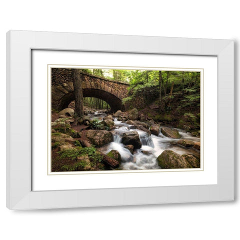 Stone Bridge I White Modern Wood Framed Art Print with Double Matting by Head, Danny