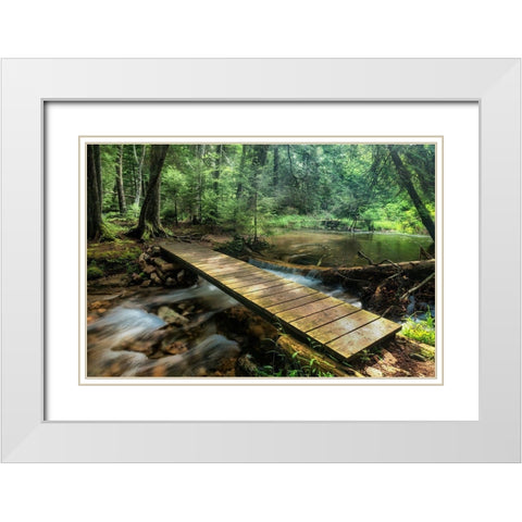 The Crossing White Modern Wood Framed Art Print with Double Matting by Head, Danny