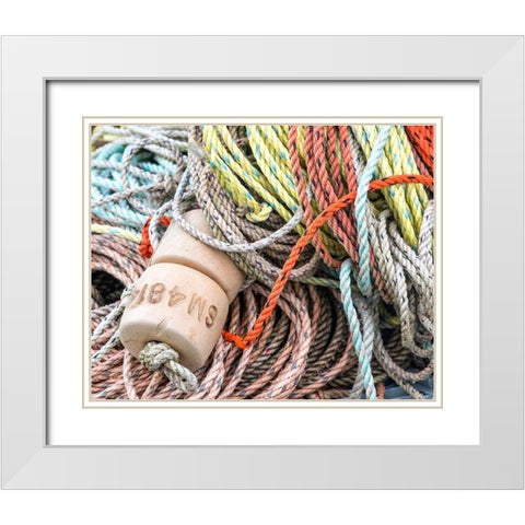 Knowing the Ropes I White Modern Wood Framed Art Print with Double Matting by Head, Danny
