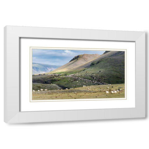 Herding Sheep II White Modern Wood Framed Art Print with Double Matting by Head, Danny