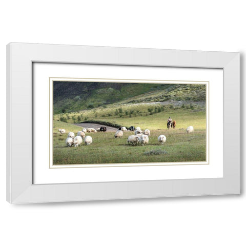 Herding Sheep III White Modern Wood Framed Art Print with Double Matting by Head, Danny