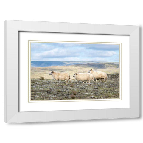 Three Friends White Modern Wood Framed Art Print with Double Matting by Head, Danny