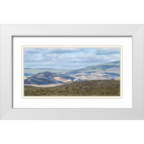 Highland Grazing I White Modern Wood Framed Art Print with Double Matting by Head, Danny