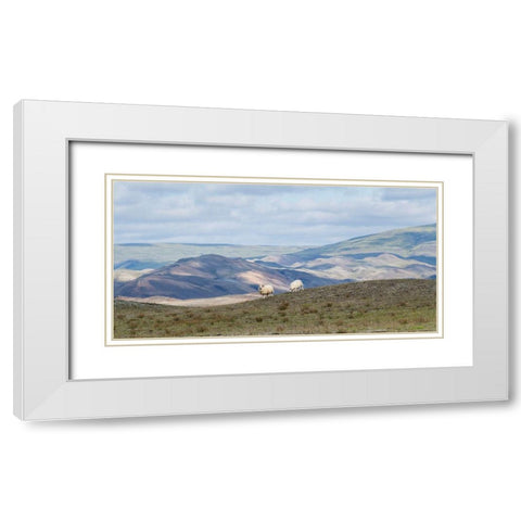HIghland Grazing II White Modern Wood Framed Art Print with Double Matting by Head, Danny