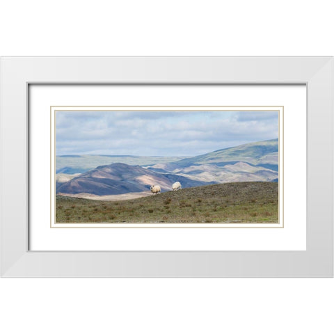 HIghland Grazing II White Modern Wood Framed Art Print with Double Matting by Head, Danny