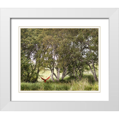 Red Hammock White Modern Wood Framed Art Print with Double Matting by Head, Danny
