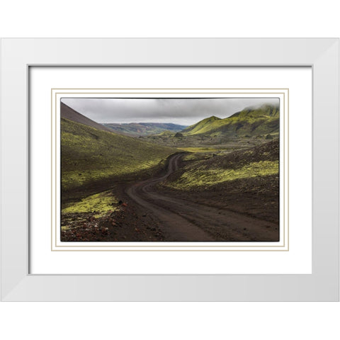 Chocolate Mint White Modern Wood Framed Art Print with Double Matting by Head, Danny