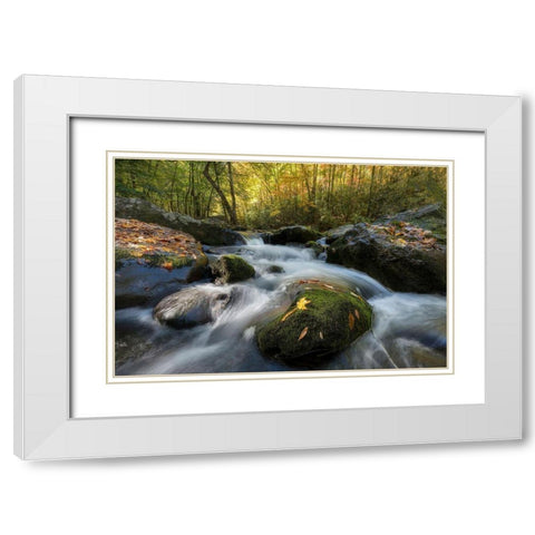 Yellow Leaf White Modern Wood Framed Art Print with Double Matting by Head, Danny