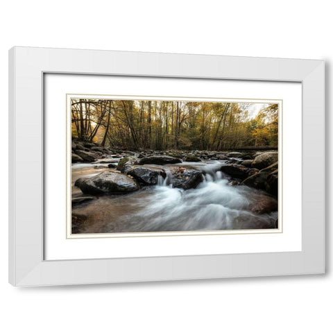 Amber Autumn I White Modern Wood Framed Art Print with Double Matting by Head, Danny