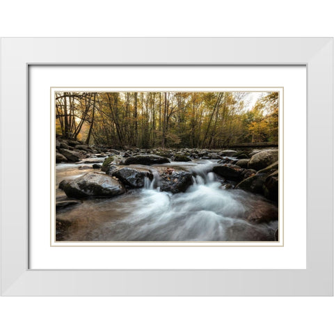 Amber Autumn I White Modern Wood Framed Art Print with Double Matting by Head, Danny