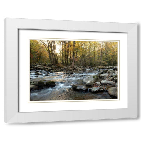 Reflecting Sunrise White Modern Wood Framed Art Print with Double Matting by Head, Danny