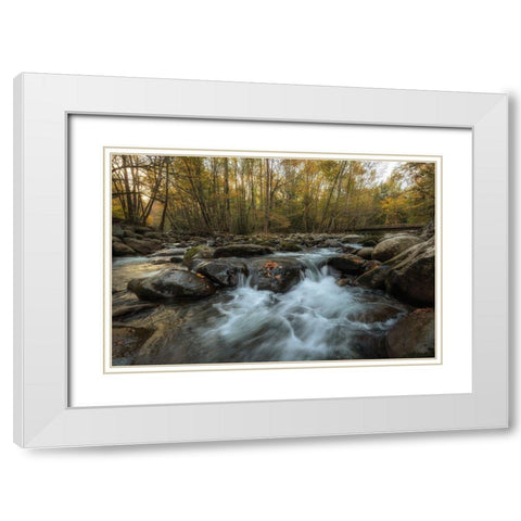 Amber Autumn II White Modern Wood Framed Art Print with Double Matting by Head, Danny