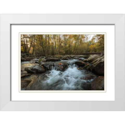 Amber Autumn II White Modern Wood Framed Art Print with Double Matting by Head, Danny