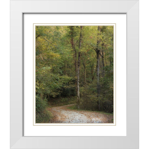 Up and Over II White Modern Wood Framed Art Print with Double Matting by Head, Danny