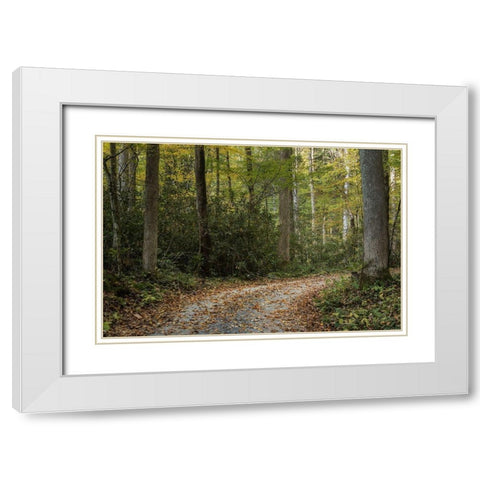 Turning Right White Modern Wood Framed Art Print with Double Matting by Head, Danny