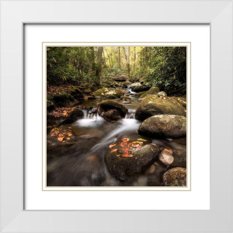 Laurel Lined Streams White Modern Wood Framed Art Print with Double Matting by Head, Danny