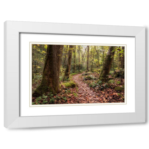 Mt Sterling Trail I White Modern Wood Framed Art Print with Double Matting by Head, Danny
